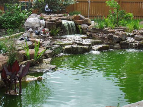 pond .